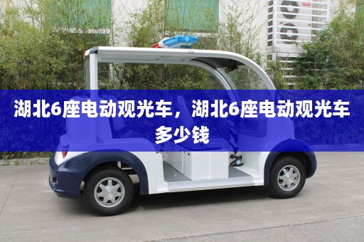 湖北6座电动观光车，湖北6座电动观光车多少钱